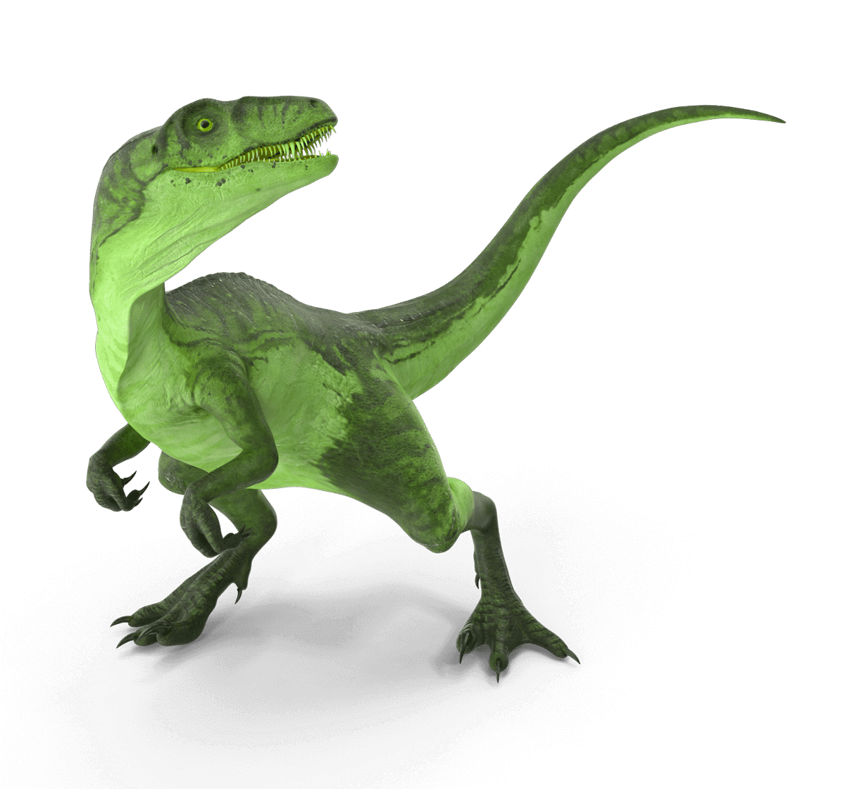 Deinonychus.G03.2k (1) marketing partner