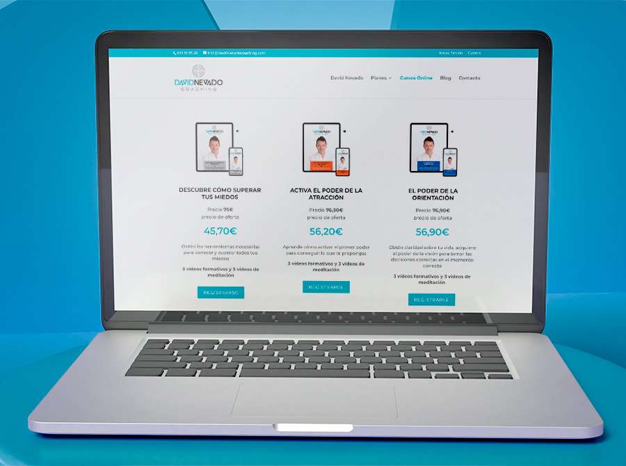 davidNevadoEcommerce