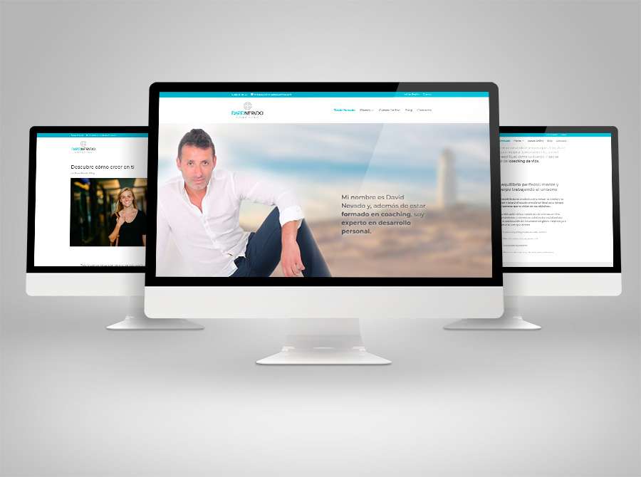 davidNevadoPosicionamientoSEO