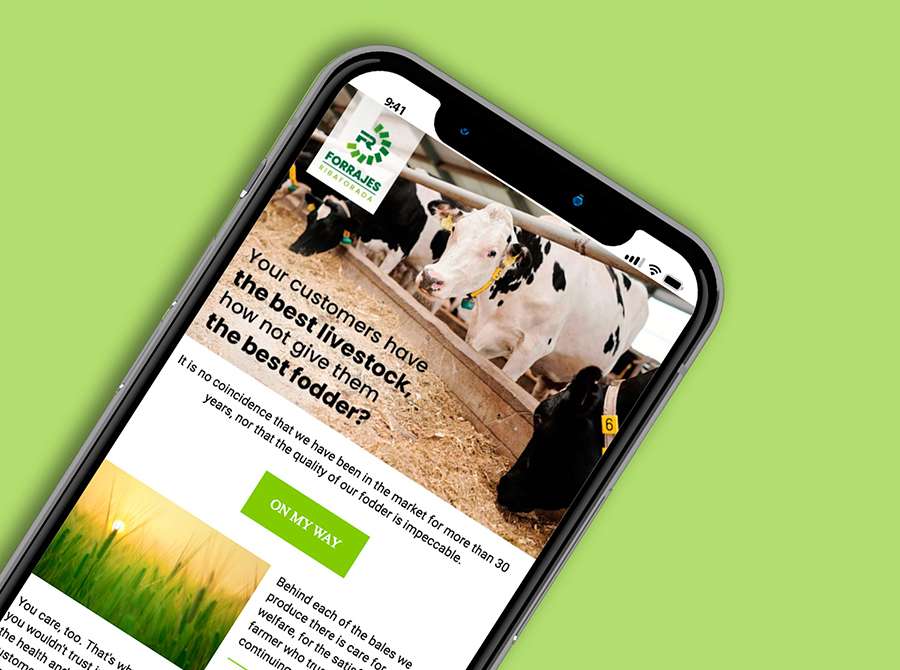 emailMarketingforrajesRibaforada