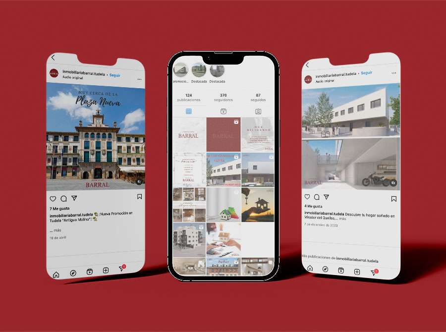 Gestion De Redes Sociales Inmobiliaria Barral Tudela